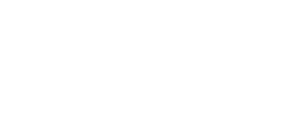 Junge Union Burgwedel Logo